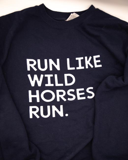 Running like wild horses sweater 